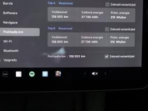 Tesla Model 3  Performance 82kWh 