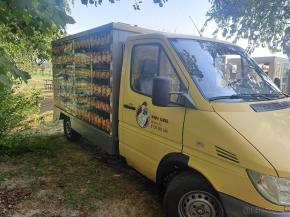 Mercedes-Benz Sprinter FOOD-TRUCK-Grylovana kurata 